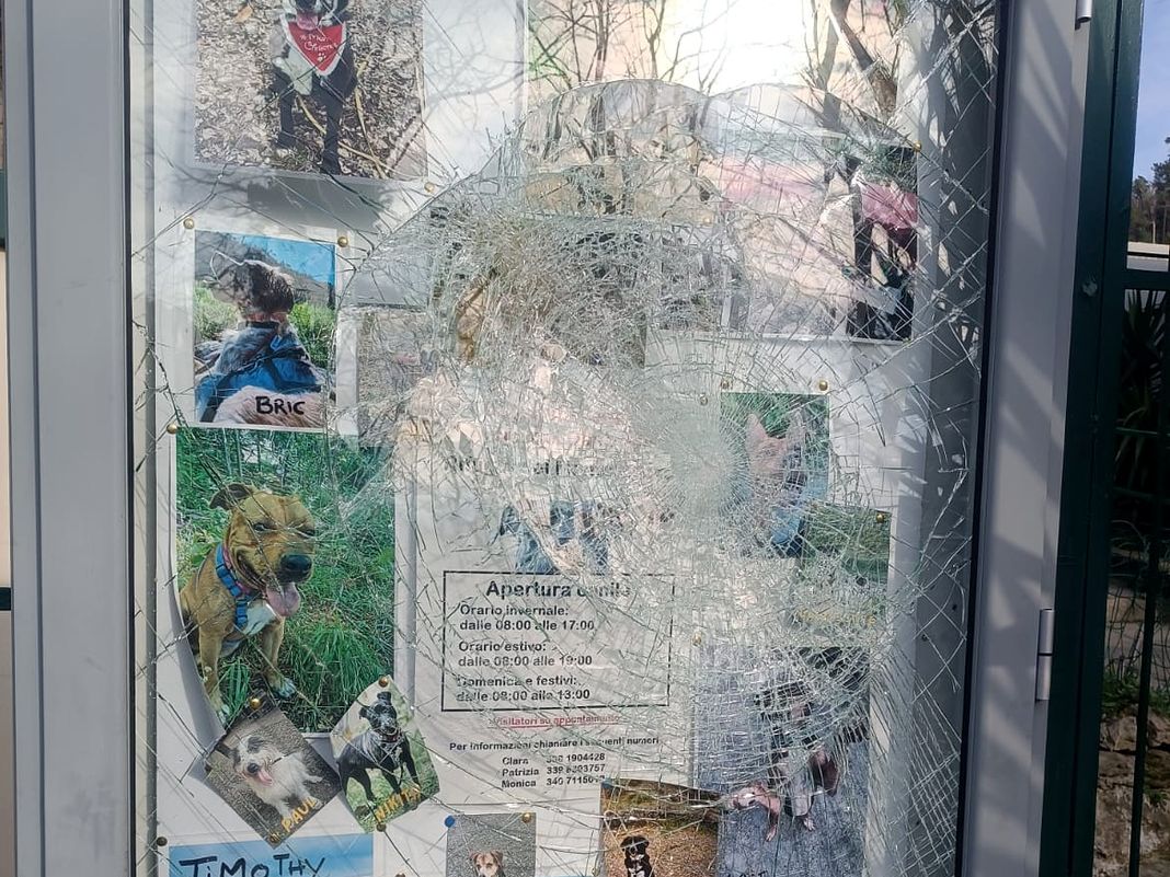 canile monte gazzo assalto