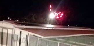 La Spezia, volontari del canile denunciano: botti sparati sopra la struttura la spezia canile fuochi artificio capodanno