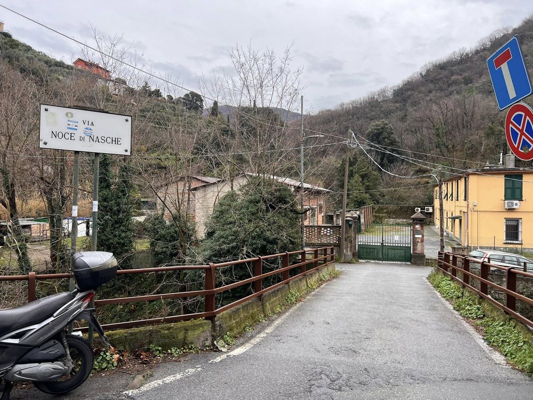 San Desiderio, carcassa di lupo nel torrente Sturla, forse ucciso San Desiderio via Noce di Nasche
