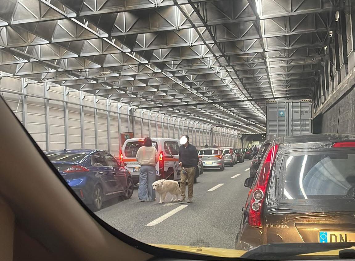 Autostrade, A10 ancora bloccata: acqua agli automobilisti e cani a passeggio Coda A10 Genova