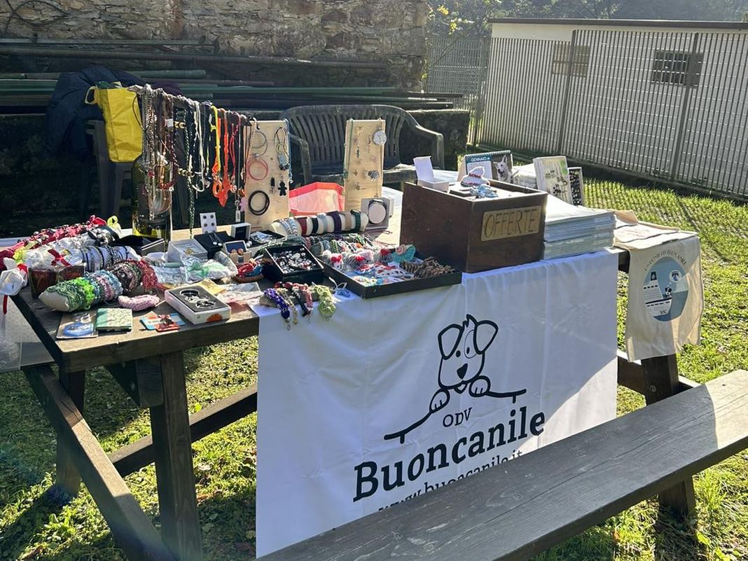 Genova, Buoncanile lancia allarme: niente più pellet da Tecnomat Buoncanile