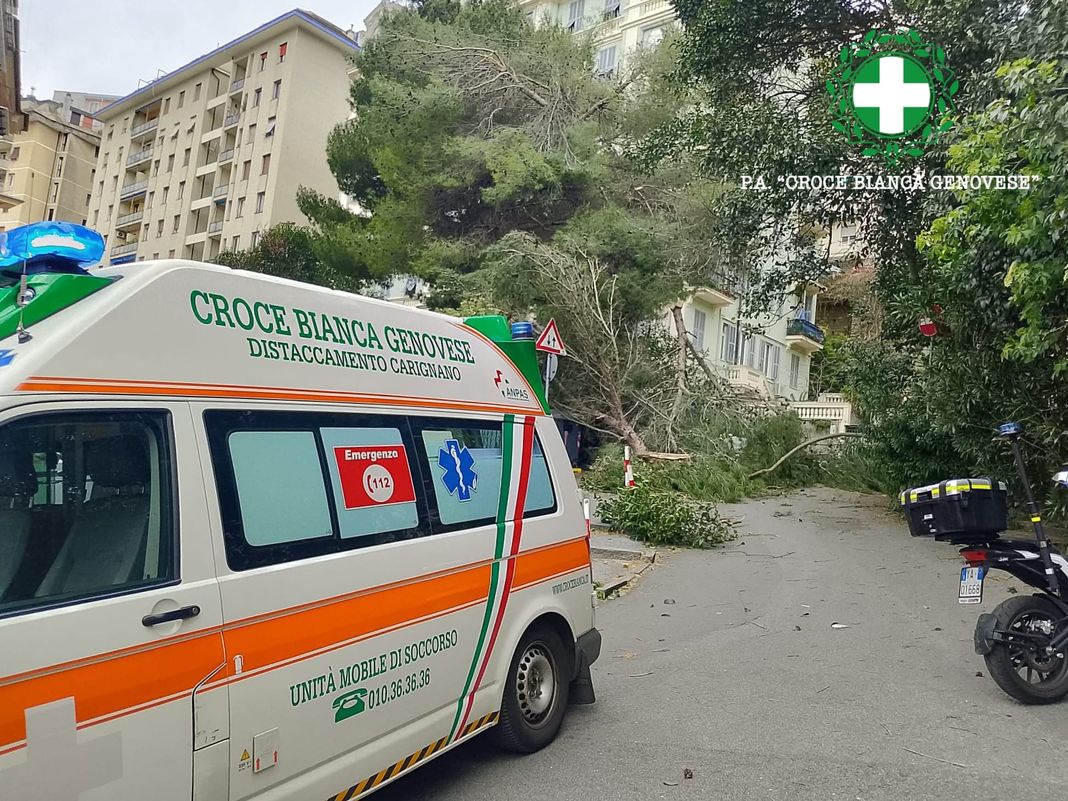Genova, cade un ramo a Castelletto, ferita una donna