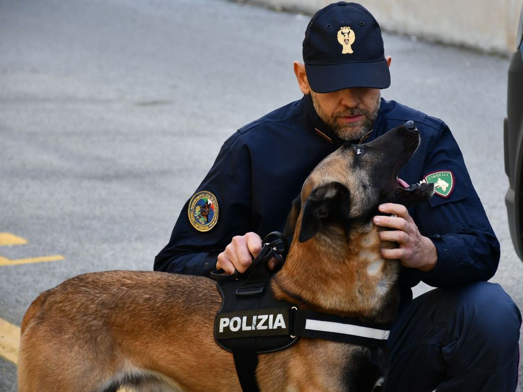 Genova, controlli con i cani antidroga a Prè, Darsena e Calata Vignoso cane antidroga constantine polizia genova