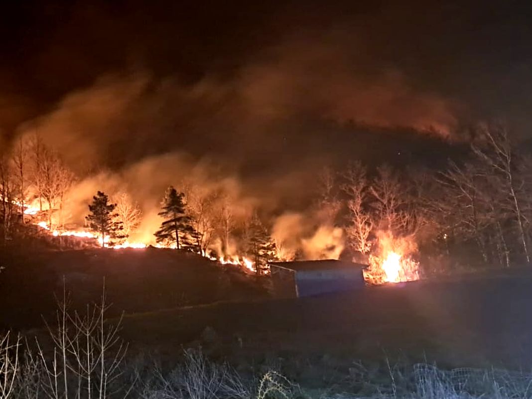 Urbe, vasto incendio boschivo spinto dal vento, paura nella notte urbe incendio bosco 27 marzo 2026