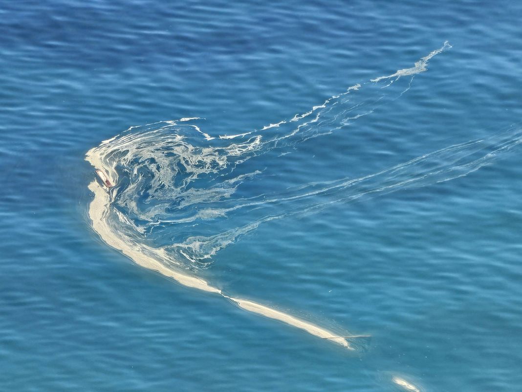 Liguria, il mare si tinge di giallo, ma non è inquinato polline in mare