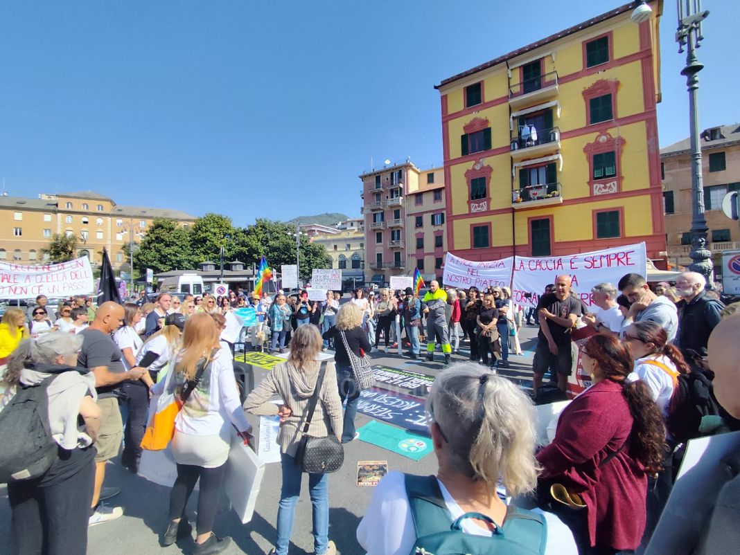 Rapallo, manifestazione contro la strage di cinghiali nel torrente San Francesco rapallo manifestazione cinghiali