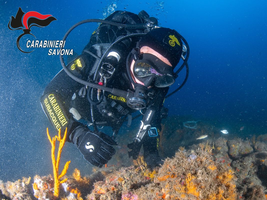 Isola della Gallinara, esplosivi sul fondale, intervengono i carabinieri subacqueo carabinieri