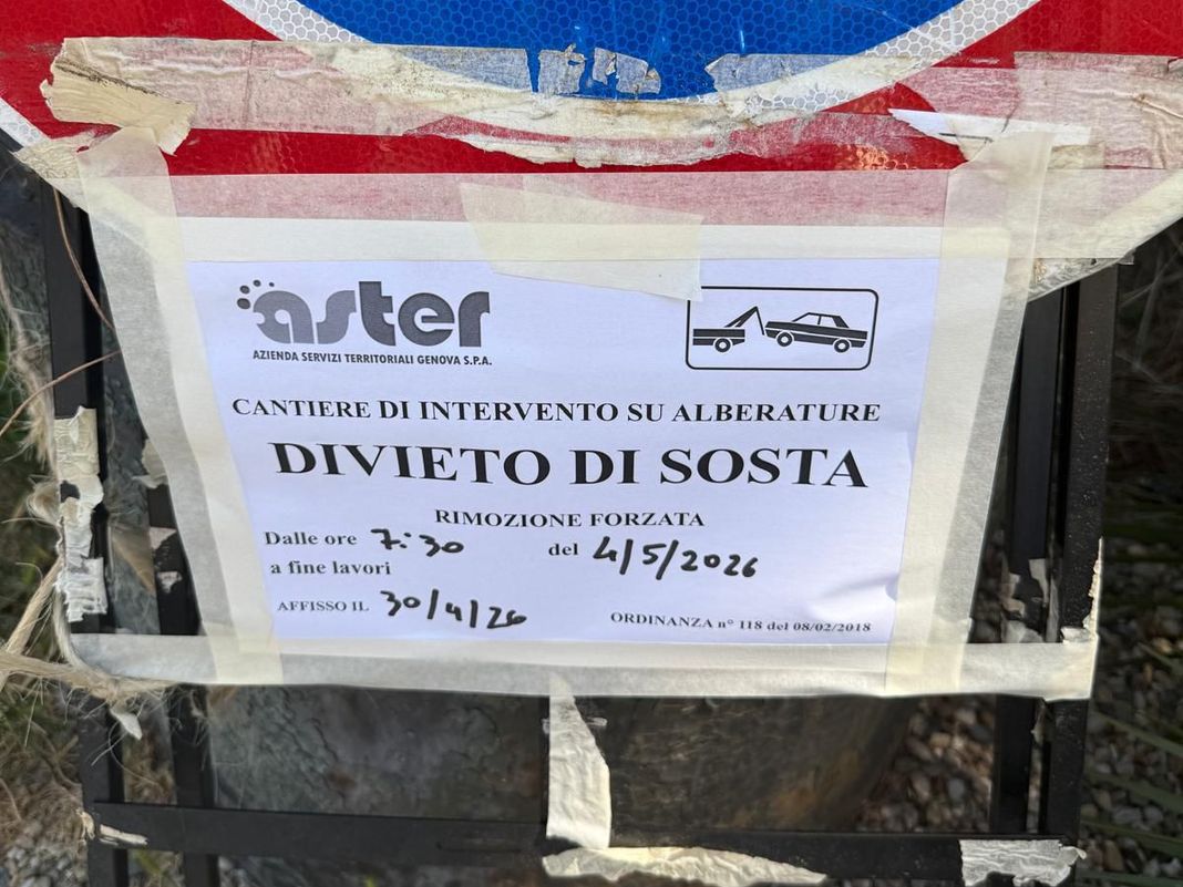 Genova, Comune annuncia taglio alberi in corso Podestà e scatta la protesta alberi cartello taglio carignano