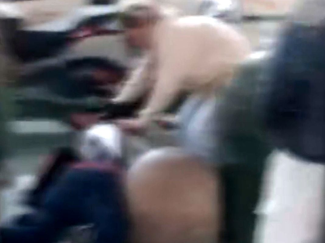Genova, rissa alla fermata del Bus in Darsena – VIDEO rissa darsena genova