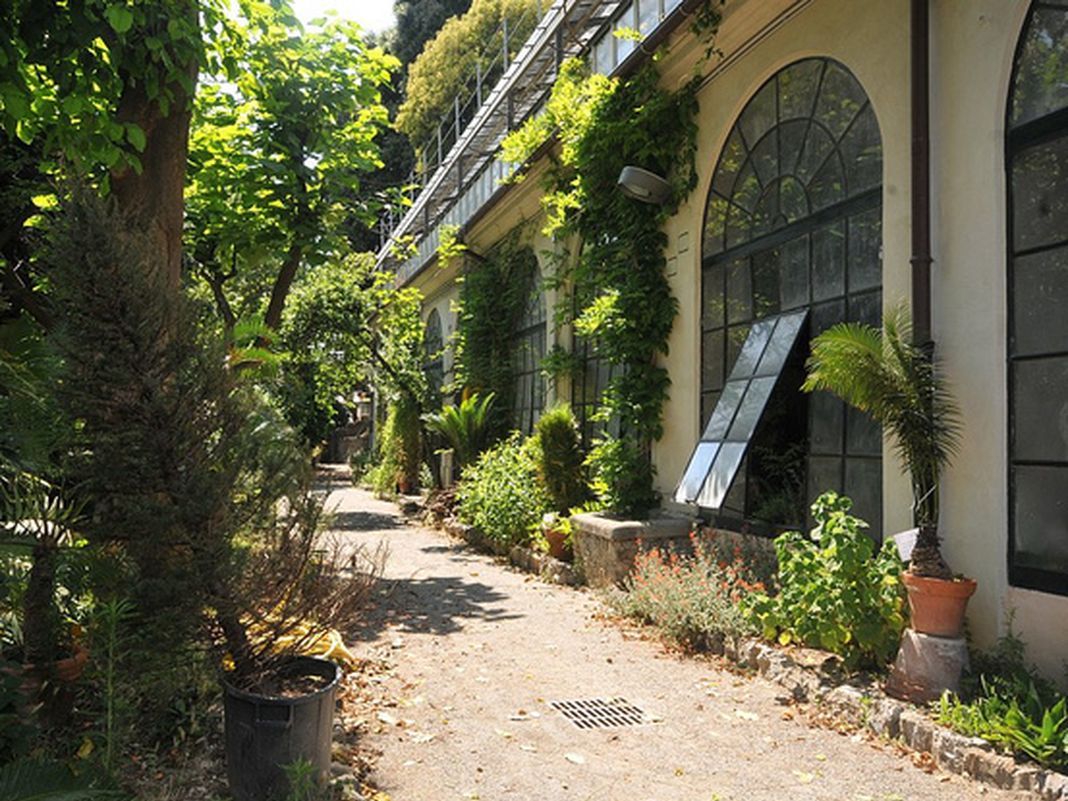 Genova, in arrivo Verde Ovunque, primo festival della Biodiversità orto botanico genova corso dogali