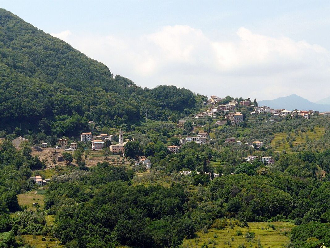Tribogna, carcassa di daino vicino al paese e scoppiano le fake news Tribogna