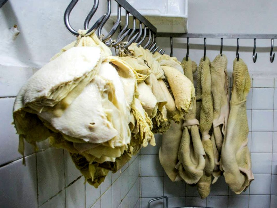 Tripperie, il Ministero della Salute conferma via libera alla vendita di castagnetta e riccetto trippe tripperia