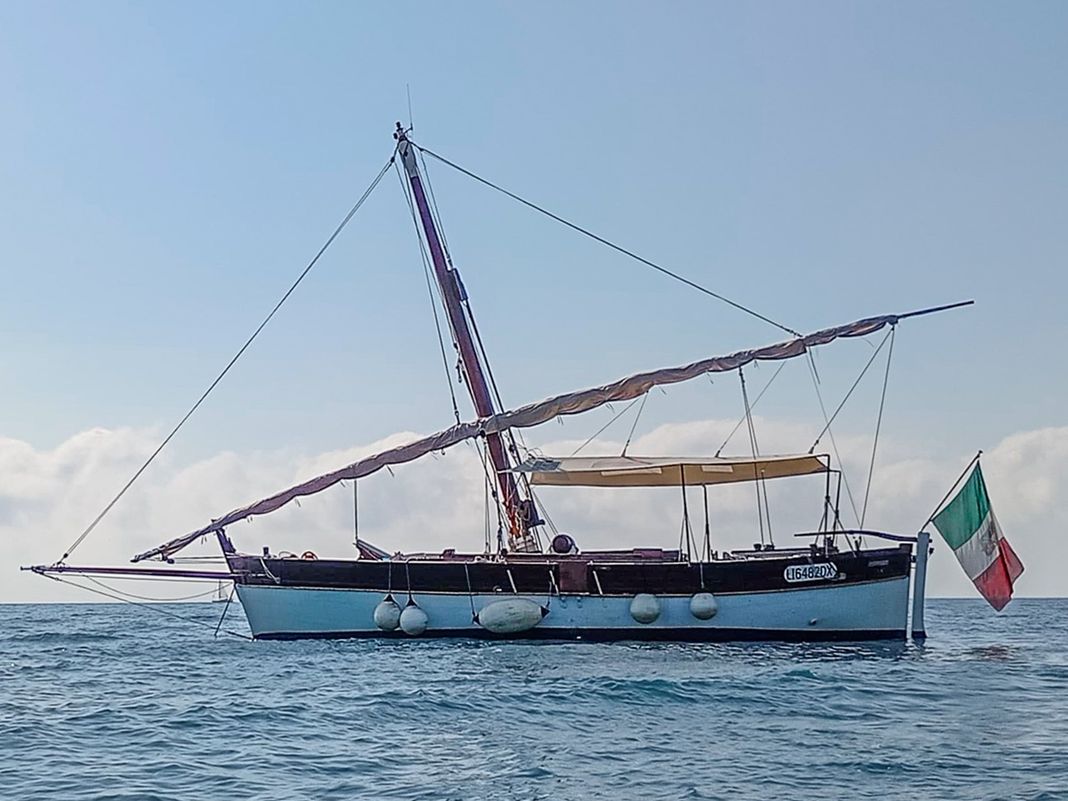leudo zigoela