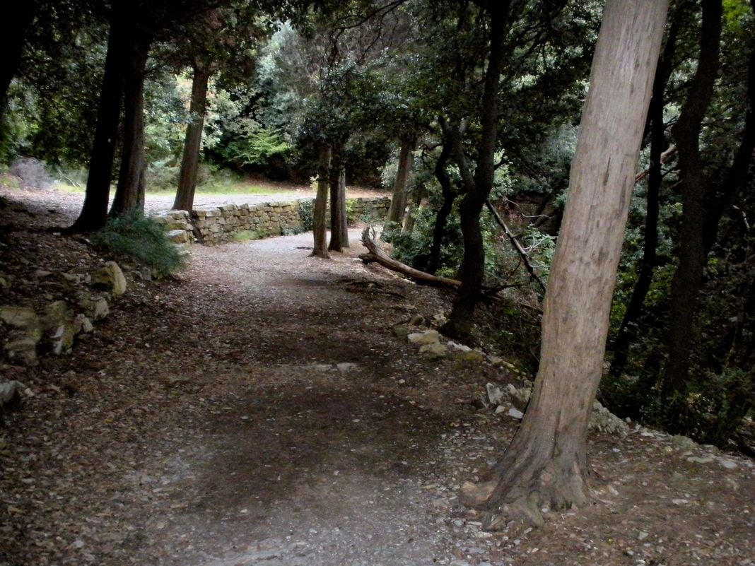 Genova, ragazza aggredita nel Bosco dei Frati Bosco dei Frati Madonna del monte san fruttuoso