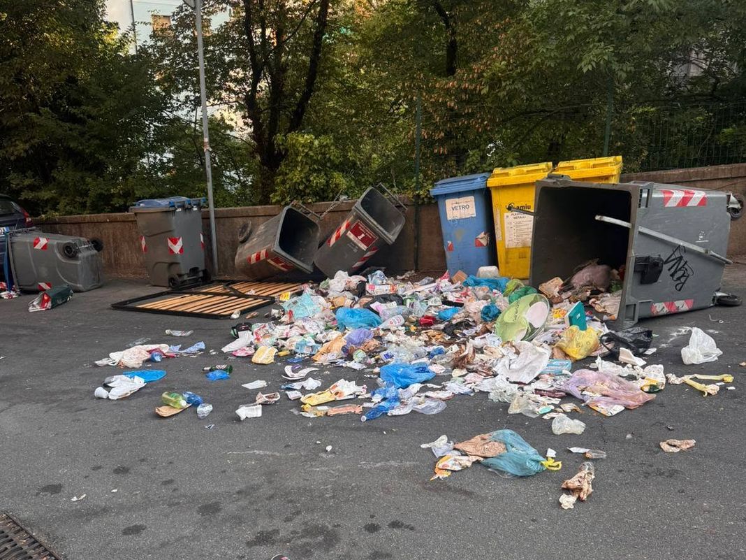 quezzi spazzatura bidoni rivoltati