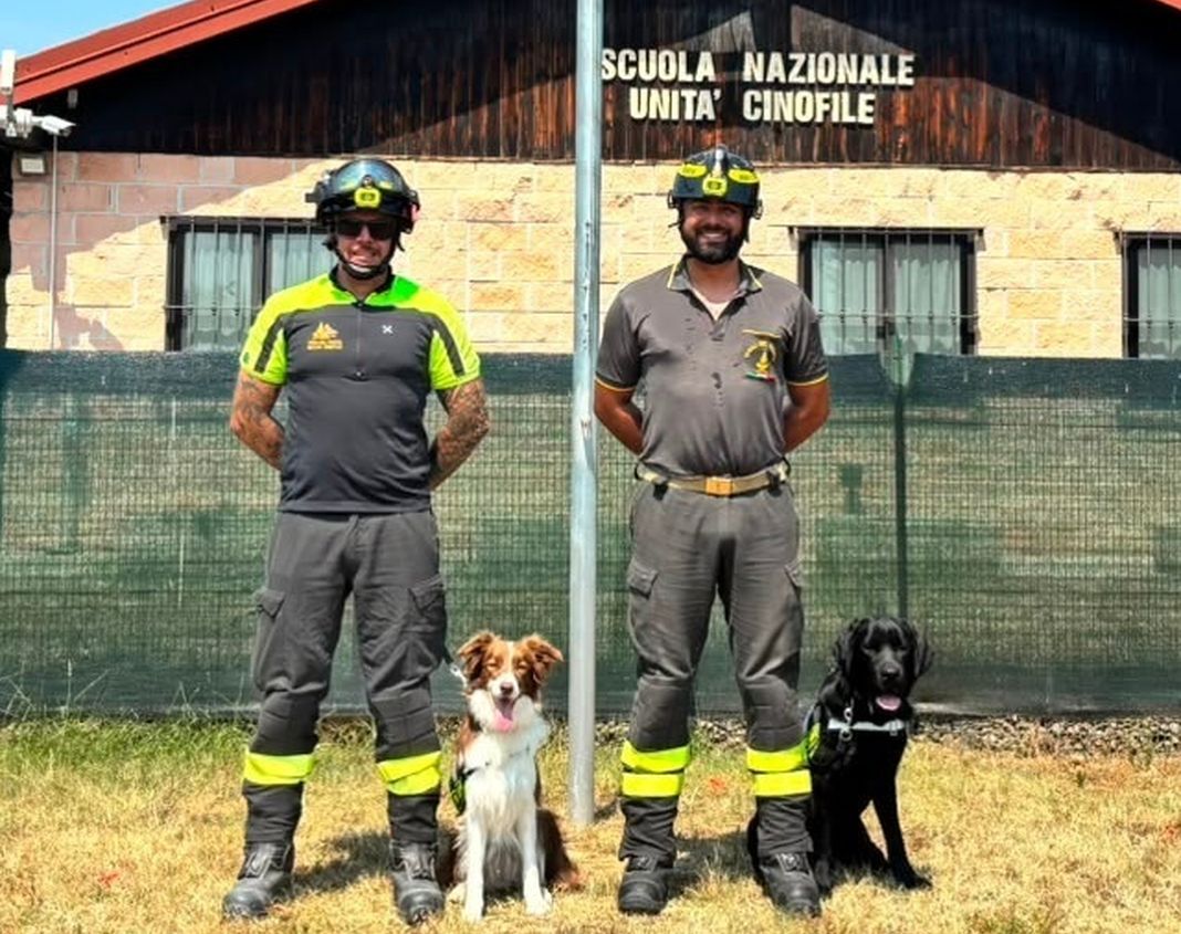 vigili fuoco cani pompieri